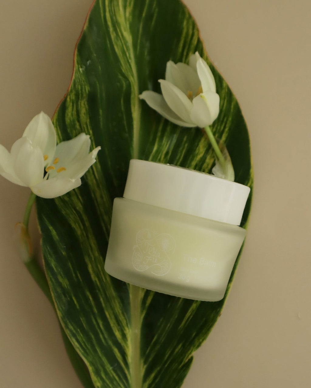 The Balm